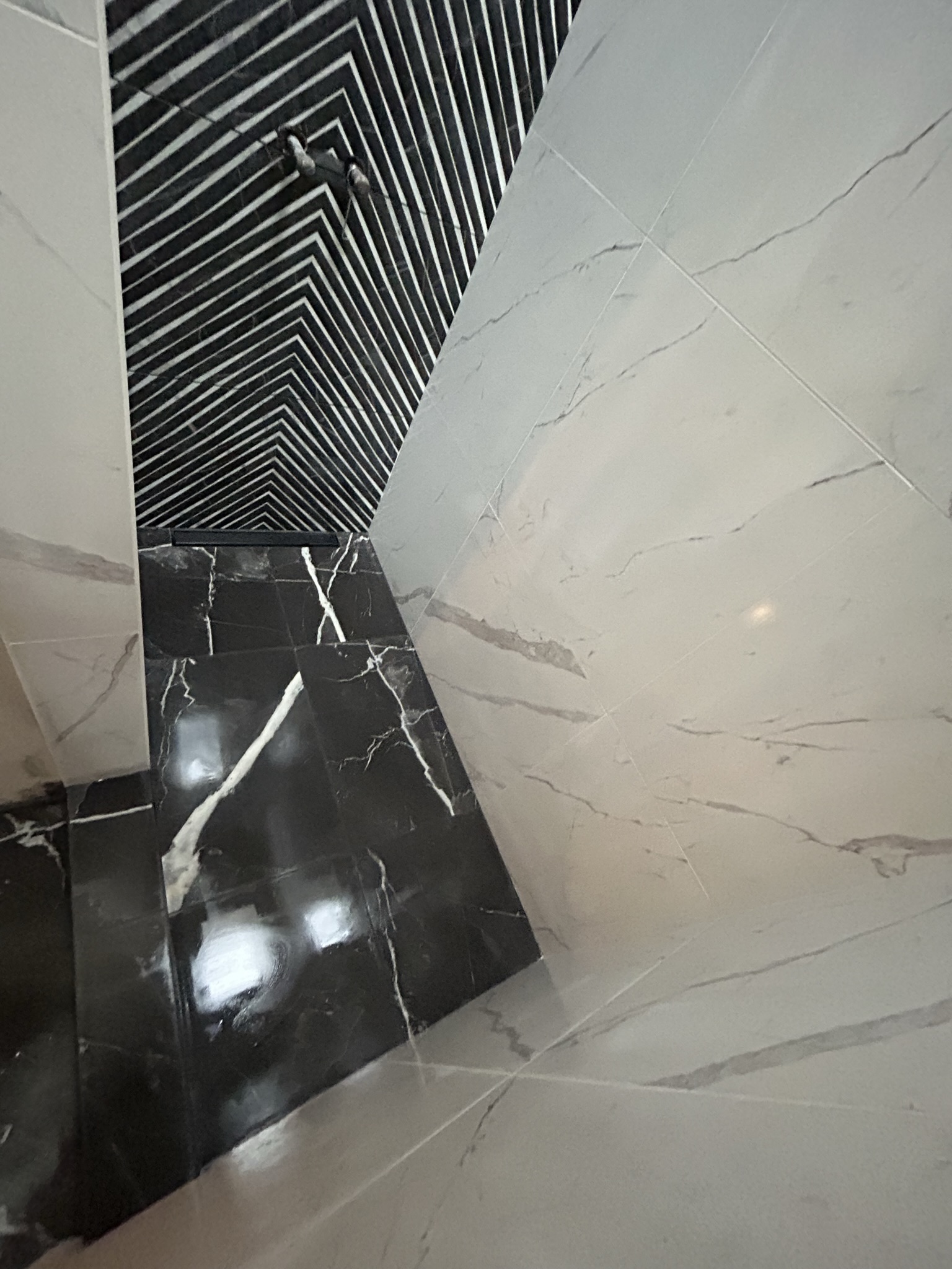 Black and white chevron shower